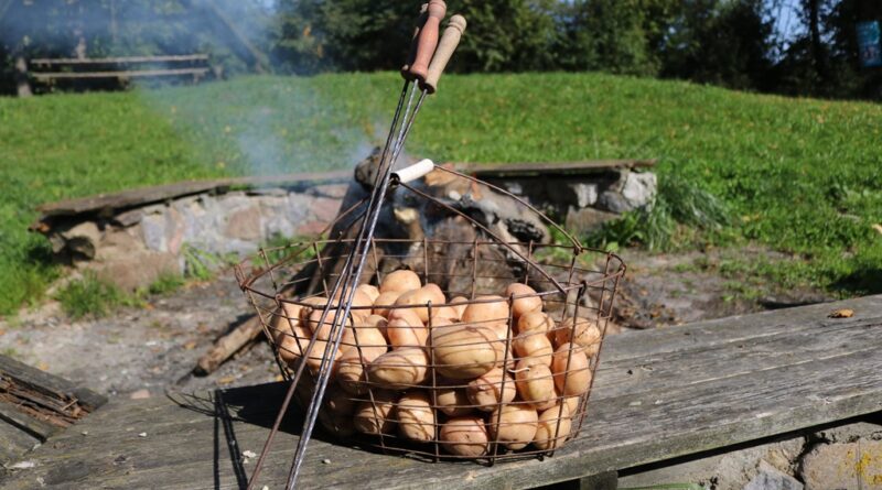 Zdjęcie przedstawia kosz wypełniony ziemniakami stojący na drewnianym siedzisku przy ognisku. O kosz i siedzisko oparte są kije do pieczenia kiełbasek